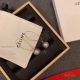 AAA Fake Celine Inner Pearl Earrings (2)_th.jpg